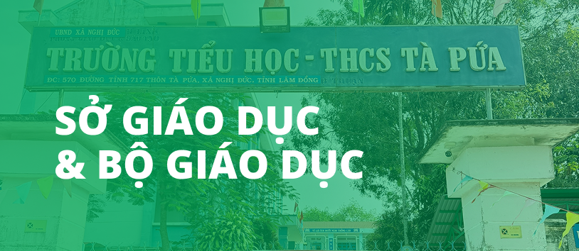 Sở giáo dục và bộ giáo dục